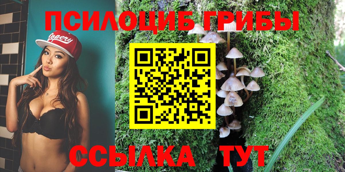 Звенигород  Галлюциногенные грибы Psilocybe  как найти   Вход с VPN  Псилоцибиновые грибы MAGIC MUSHROOMS 